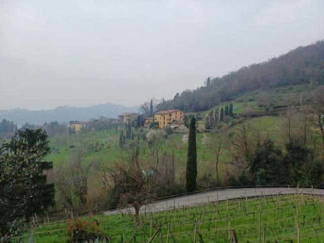 Appartamento in affitto a Quintino Alto, Bergamo
