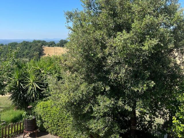 Appartamento in affitto a Otricoli, Umbria
