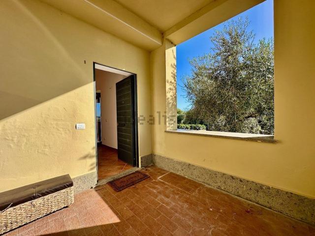 Appartamento in affitto a Nepi, Lazio