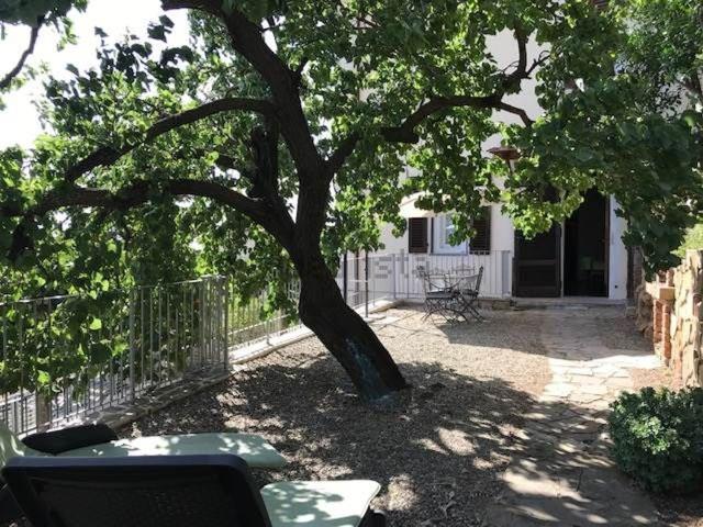 Appartamento in affitto a Zona 167 Scarlino, Scarlino