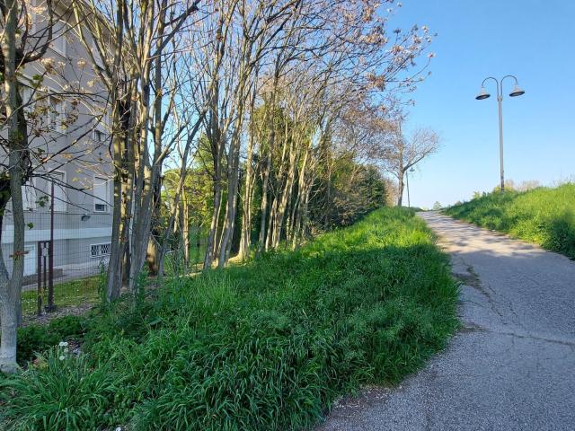 Appartamento in affitto a Paltana, Padova