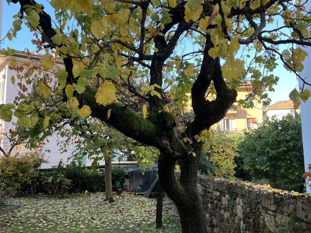 Appartamento in affitto a Territorio Val d'Adige, Trento