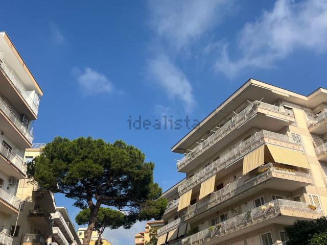 Appartamento in affitto a Municipalità 1, Campania