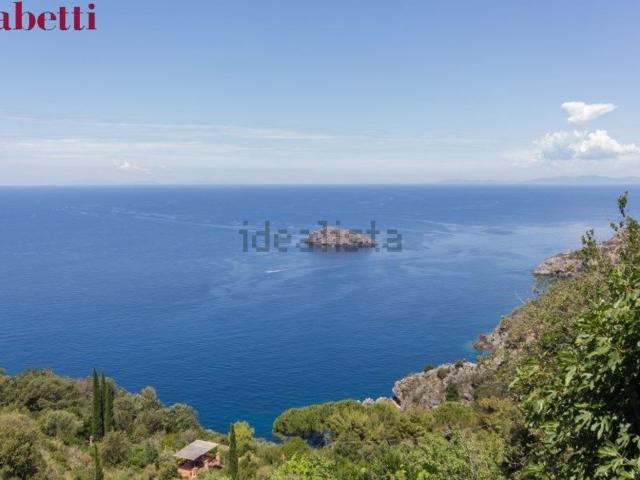 Appartamento in affitto a Monte Argentario, Cala Piccola