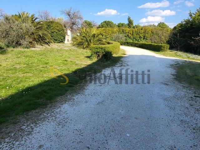 Appartamento in affitto a Sant'Angelo, Marche
