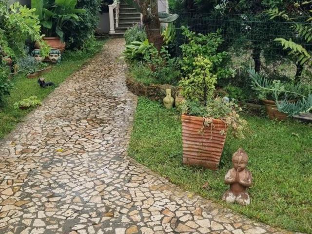 Appartamento in affitto a Borgo Cappuccini, Livorno