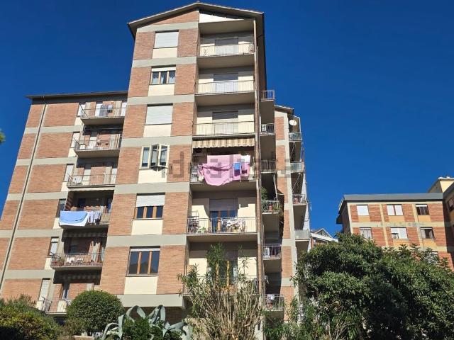 Appartamento in affitto a Petriccio, Siena