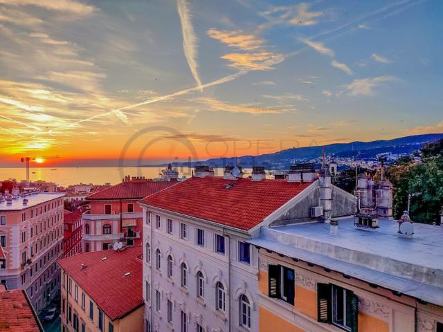 Appartamento in affitto a Città Nuova-Barriera Nuova-San Vito-Città Vecchia, Villa Opicina