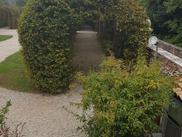 Appartamento in affitto a Monte Berico, Vicenza