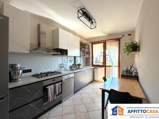 Appartamento in affitto a Piemonte, Torino