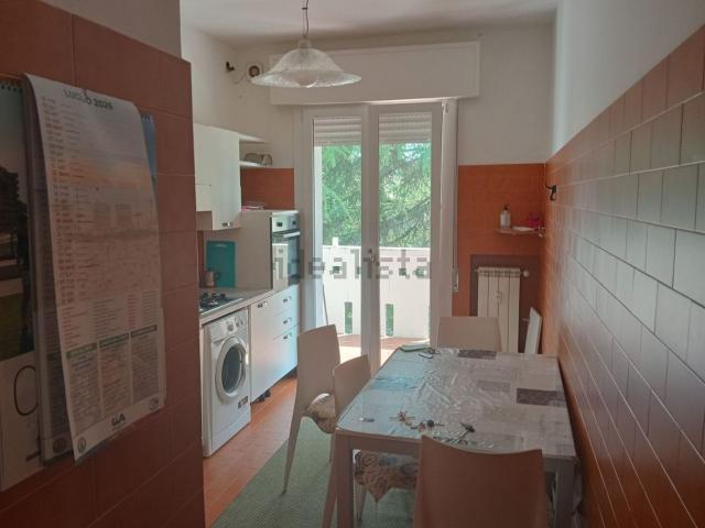 Appartamento in affitto a San Carlo, Padova