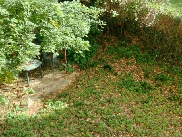 Appartamento in affitto a Quartiere 3, Firenze