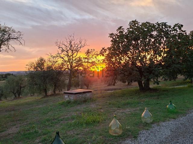 Appartamento in affitto a Castelnuovo Berardenga, Toscana
