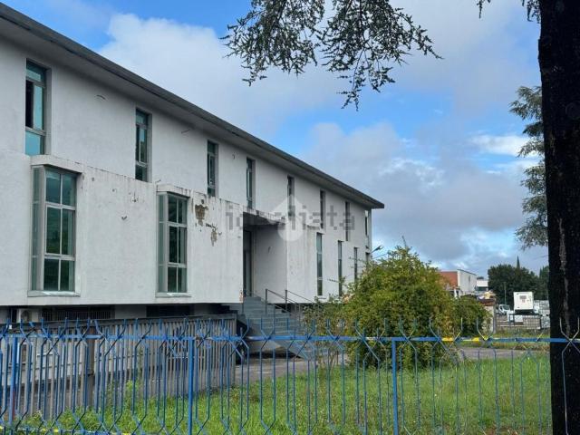 Appartamento in affitto a Spello, Perugia