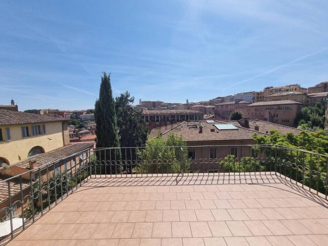 Appartamento in affitto a Contrada dell'Istrice, Siena