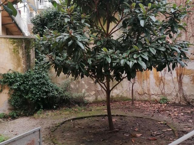 Appartamento in affitto a Quartiere 1, Firenze