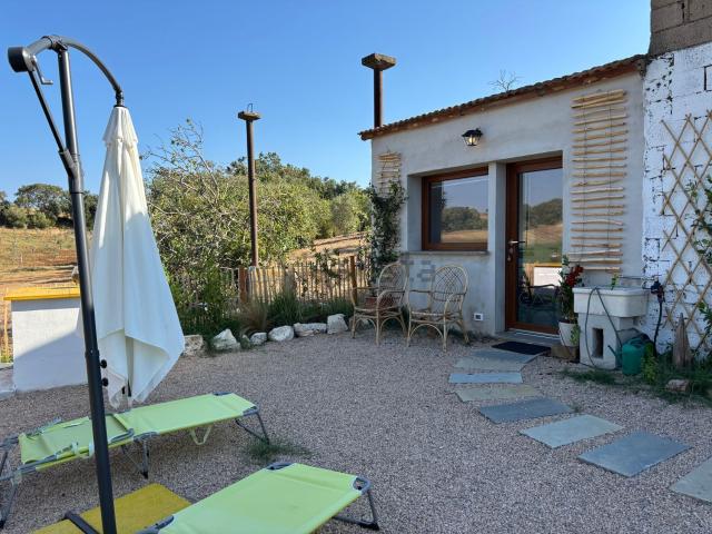Appartamento in affitto a Capalbio, Toscana
