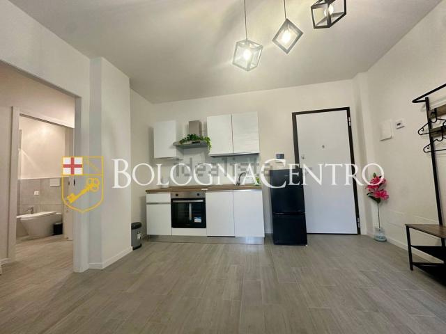 Appartamento in affitto a Borgo Panigale-Reno, Bologna