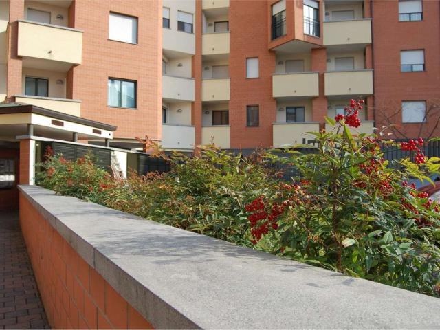 Appartamento in affitto a Porta Mortara, Piemonte