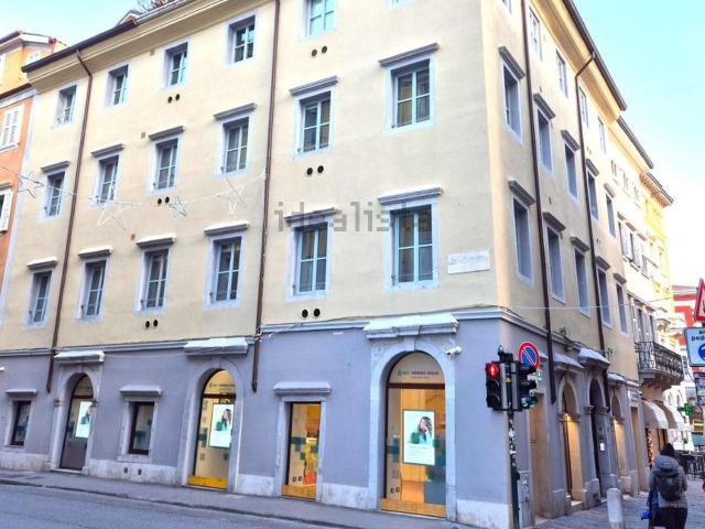 Appartamento in affitto a Città Nuova-Barriera Nuova-San Vito-Città Vecchia, Villa Opicina