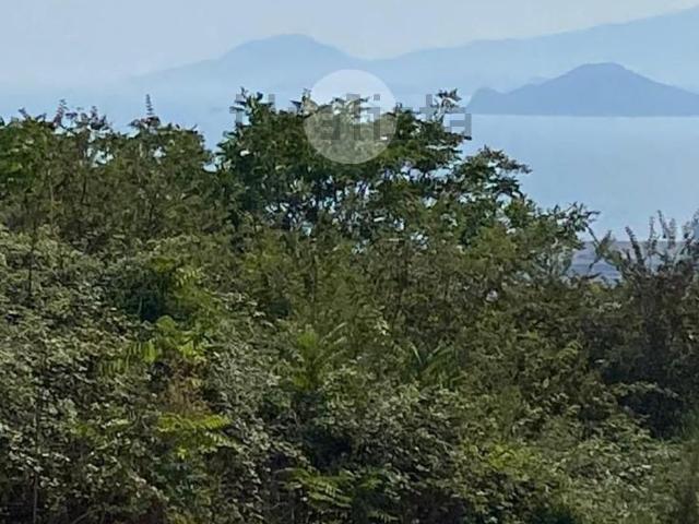 Appartamento in affitto a Municipalità 1, Campania