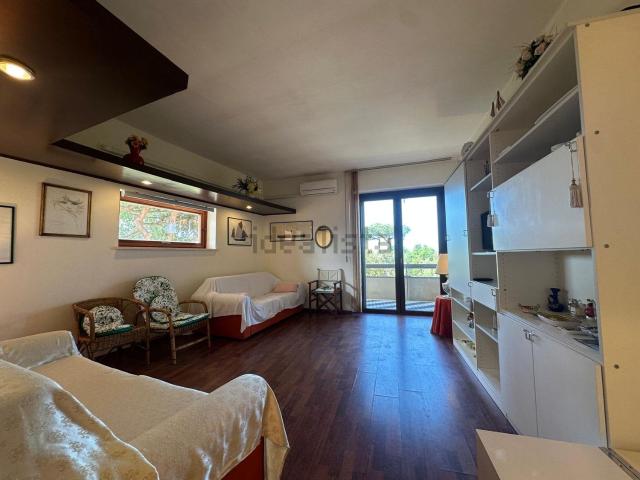Appartamento in affitto a Torre del Lago Puccini, Viareggio