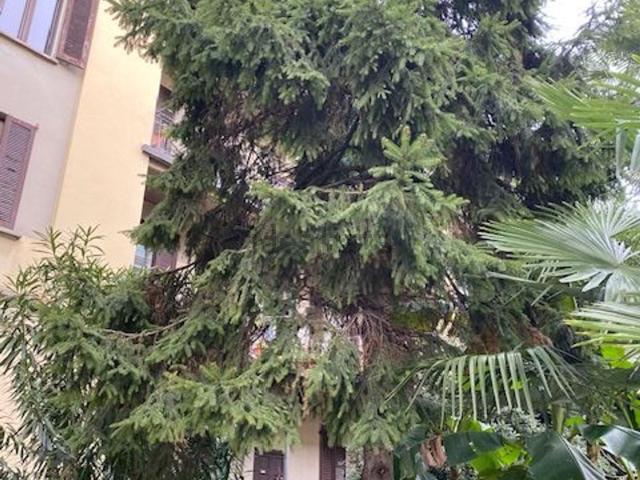 Appartamento in affitto a Municipio 2, Milano