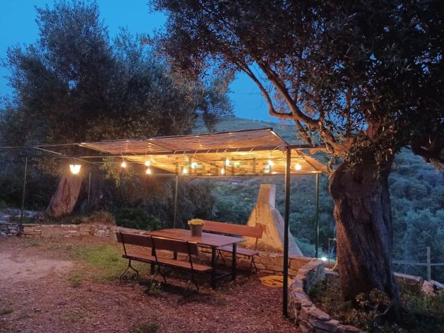 Appartamento in affitto a Centola, Campania