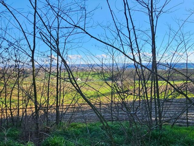 Appartamento in affitto a Piemonte, Asti