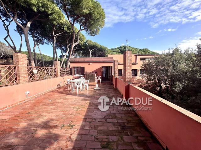Appartamento in affitto a Rosignano Marittimo, Toscana