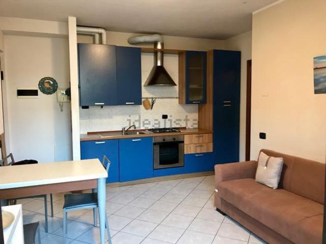 Appartamento in affitto a Cavaria, Cavaria Con Premezzo