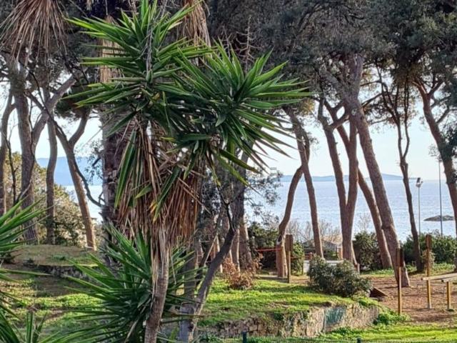Appartamento in affitto a Follonica, Toscana