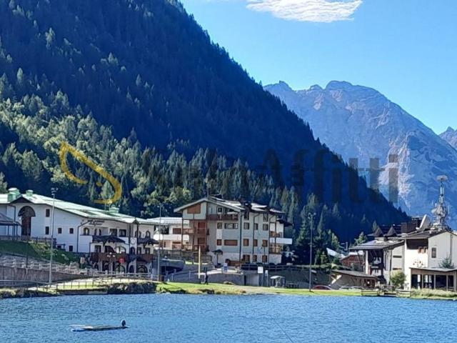 Appartamento in affitto a Comunità delle Giudicarie, Pinzolo