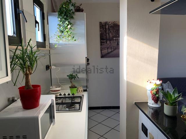Appartamento in affitto a Puglia, Foggia