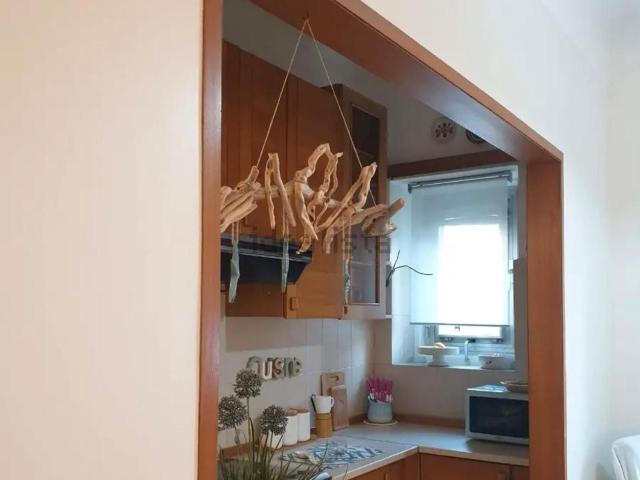 Appartamento in affitto a Barriera Vecchia-San Giacomo, Villa Opicina