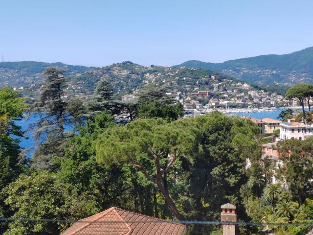 Appartamento in affitto a Sant'Ambrogio, Zoagli