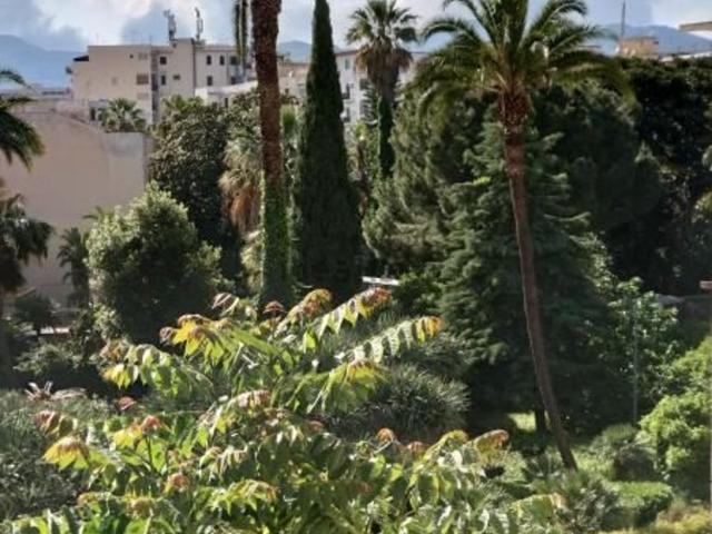 Appartamento in affitto a V Circoscrizione, Palermo