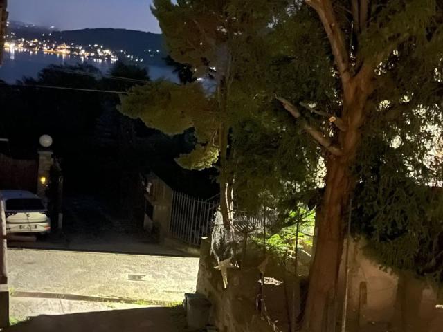 Appartamento in affitto a Lago d'Argento, Meina