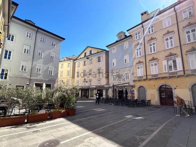 Appartamento in affitto a Città Nuova-Barriera Nuova-San Vito-Città Vecchia, Villa Opicina