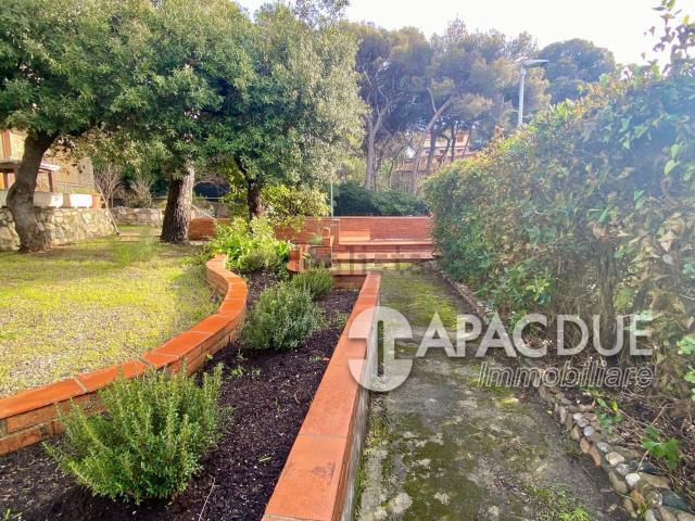 Appartamento in affitto a Rosignano Marittimo, Toscana