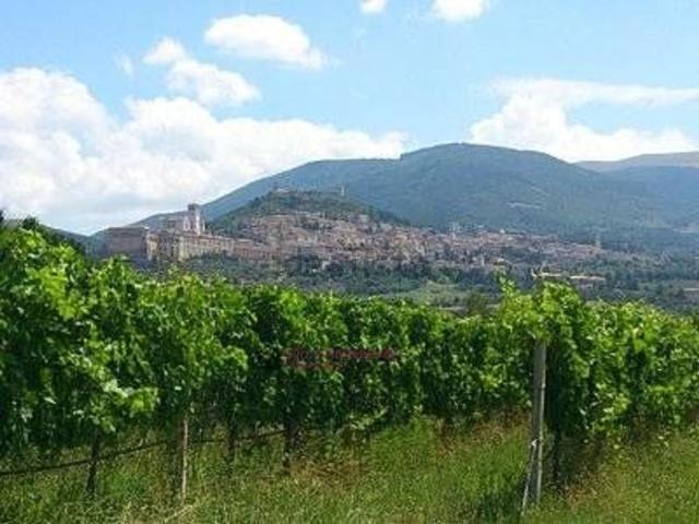 Appartamento in affitto a Santa Tecla, Assisi