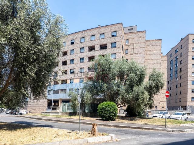 Appartamento in affitto a Municipio Roma VIII, Roma Capitale