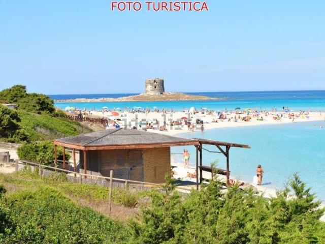 Appartamento in affitto a Stintino, Sardigna/Sardegna