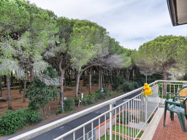 Appartamento in affitto a Rosignano Marittimo, Toscana