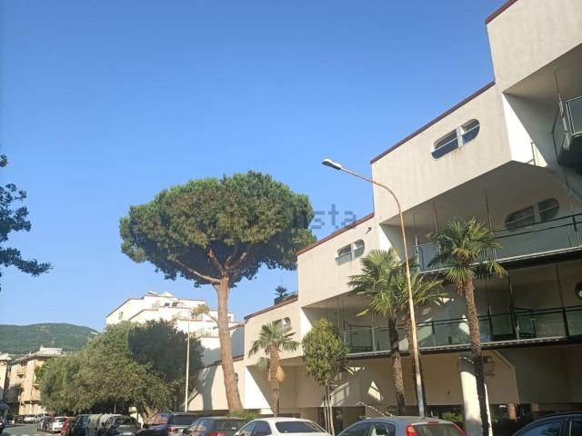 Appartamento in affitto a Spotorno, Liguria