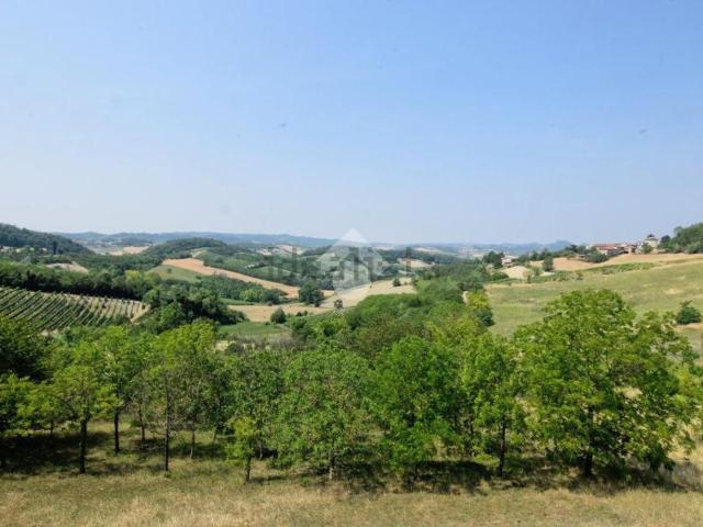 Appartamento in affitto a Piemonte, Alessandria