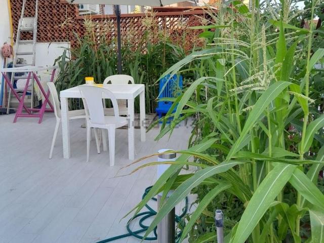 Appartamento in affitto a Monticello, Calabria