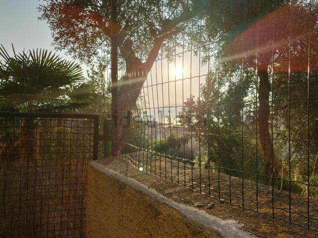 Appartamento in affitto a La Serra, Lerici