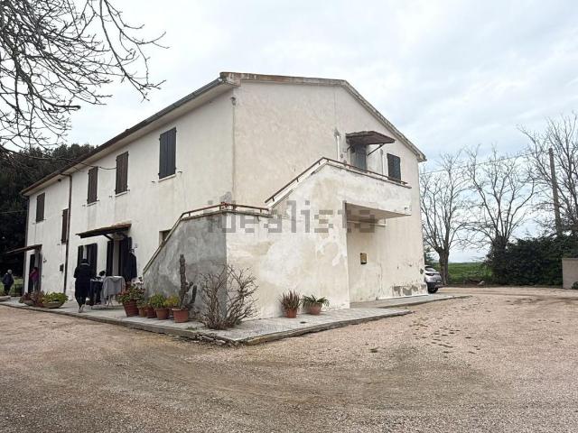 Appartamento in affitto a centro B, Capalbio
