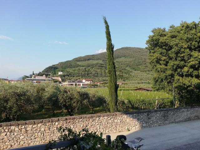 Appartamento in affitto a Comunità Alto Garda e Ledro, Riva